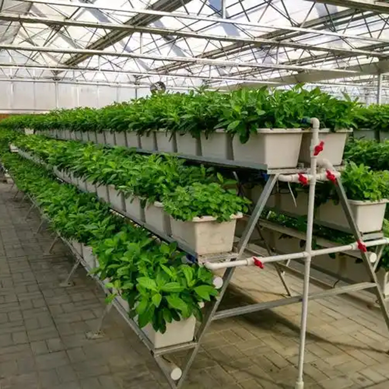 吕梁市植物工厂植物工厂 - 价格